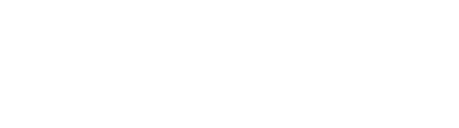 Logo Amicolab